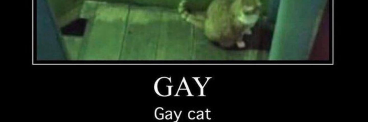 sualp⁷ banner