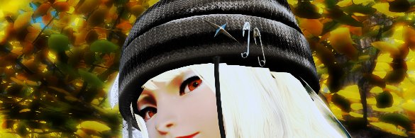 うぇる@Bahamut banner