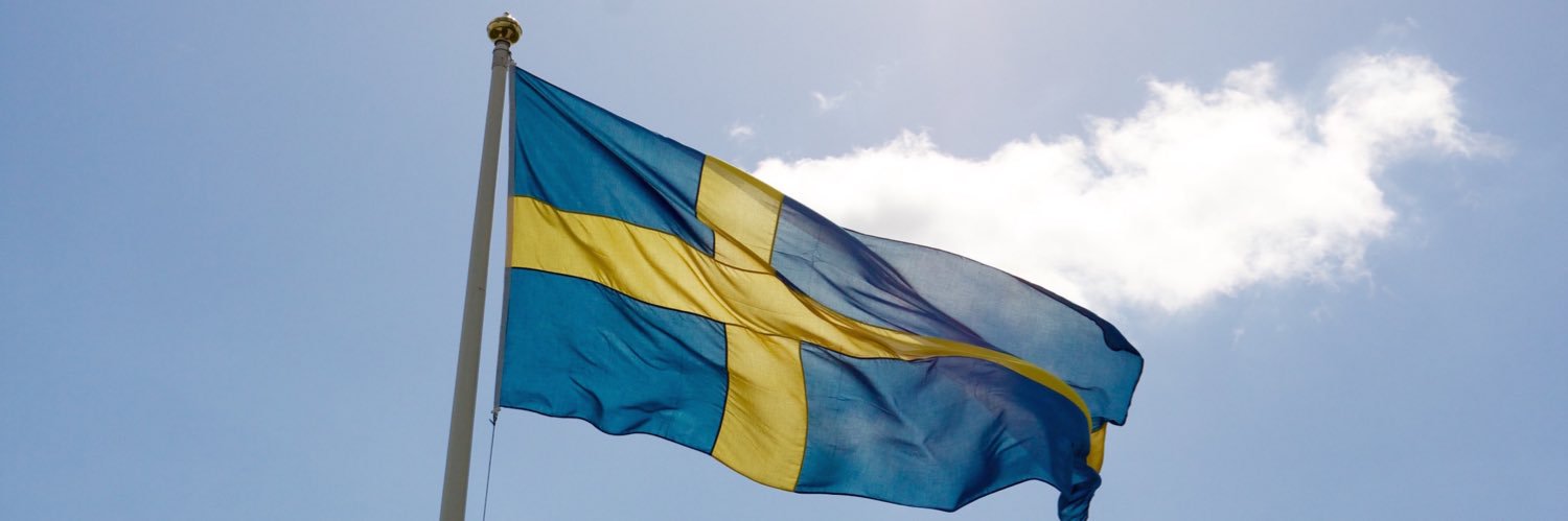Axel Hugosson banner
