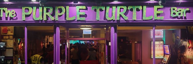 Purple Turtle's banner