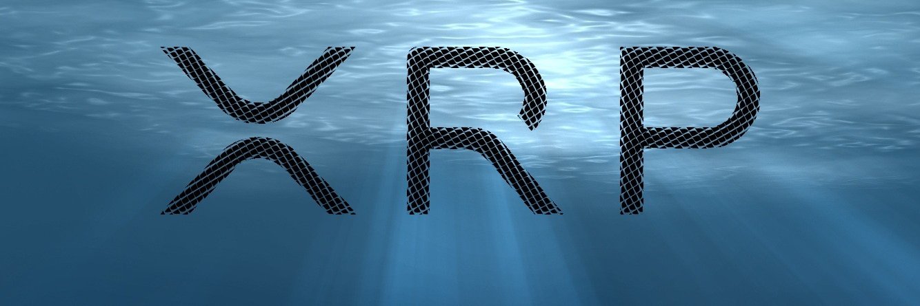 ObserverXrp's profile banner image