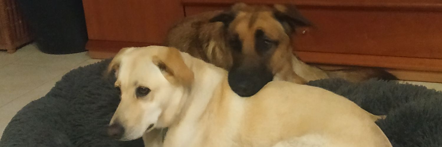 antiaff57's profile banner image