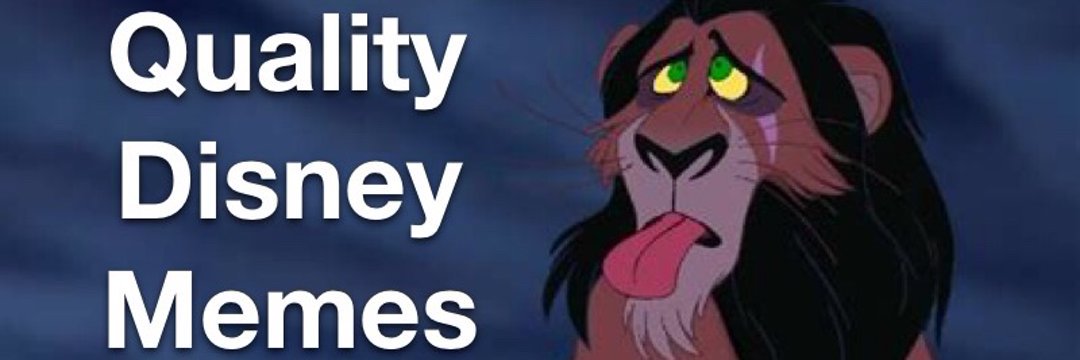 quality_disney's profile banner image