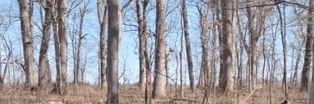 Words Taste Weird banner