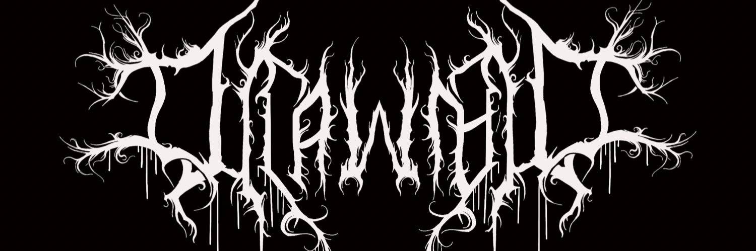 SHIELDMAIDEN🛡️🗡️ banner