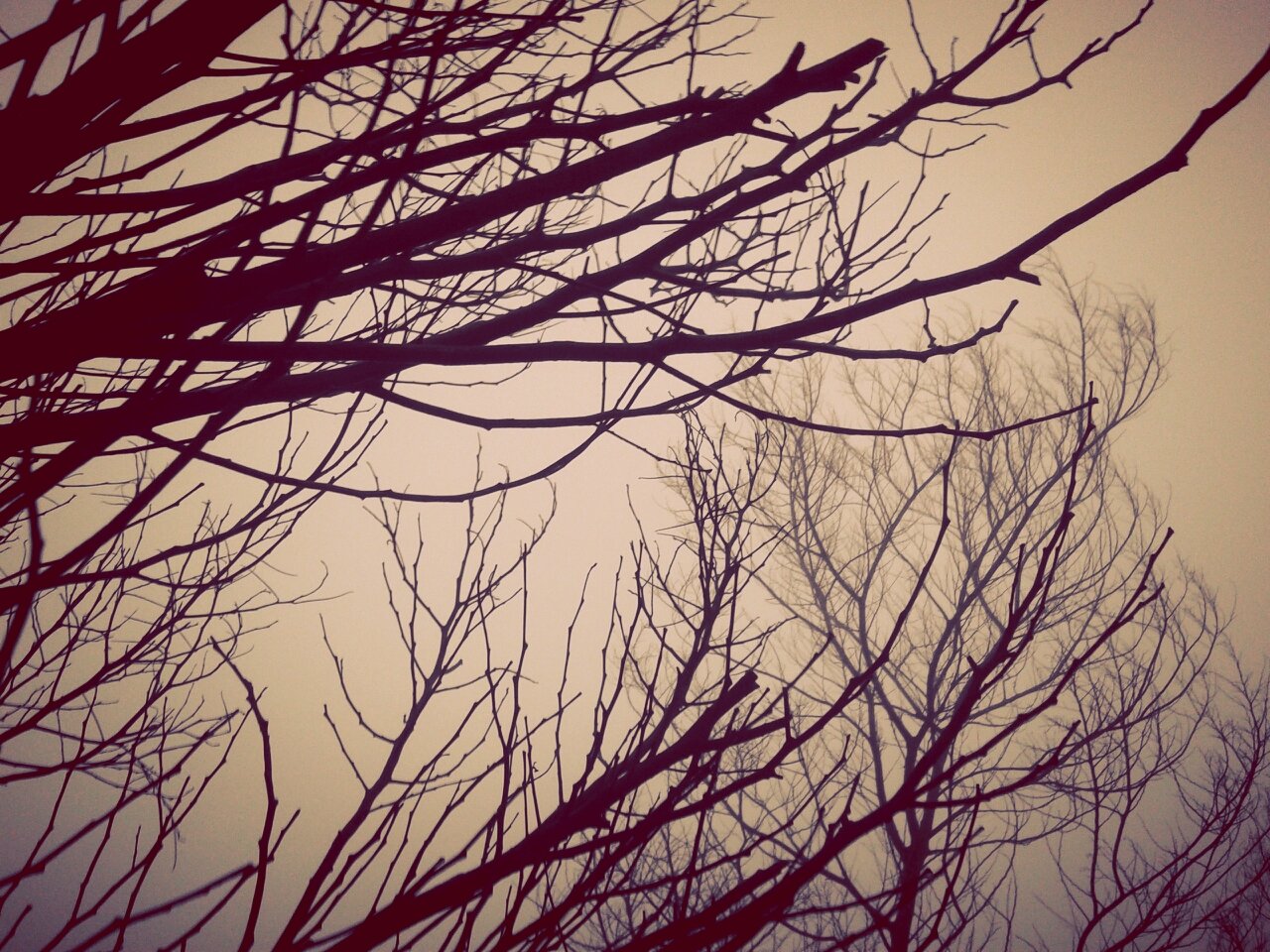 WRMusthofa's profile banner image