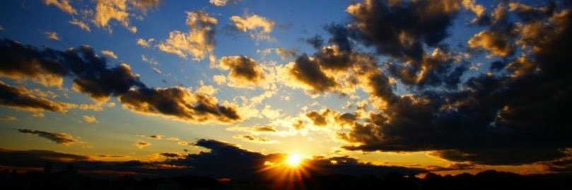 たまご老師 banner