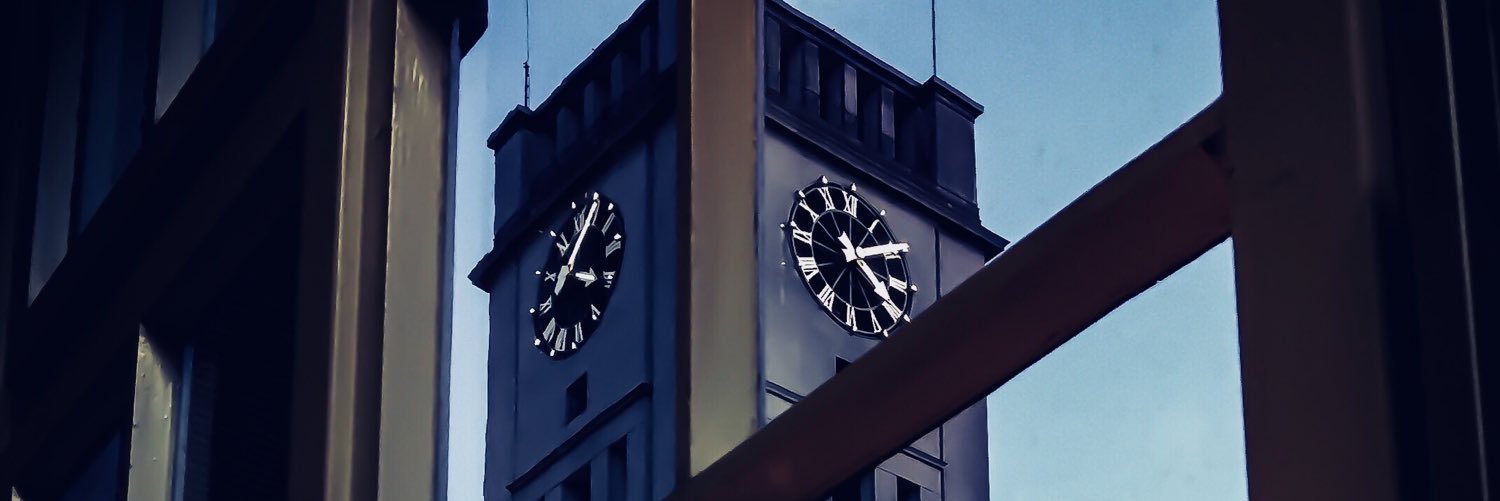 #hierbeginntpolitik banner