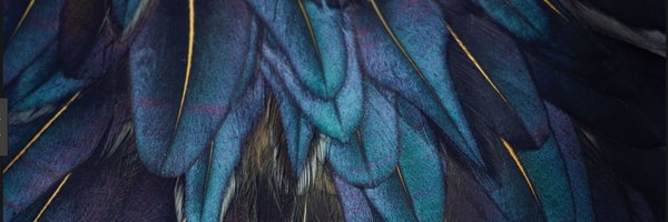 LaughlandMorgan Profile Banner
