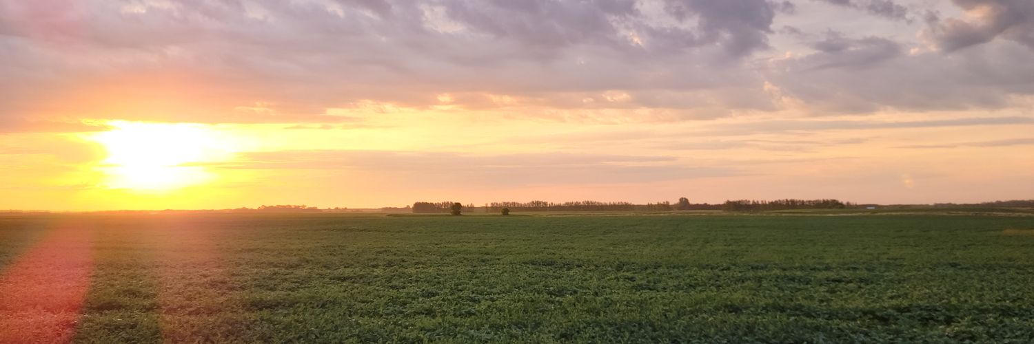 HockinM's profile banner image