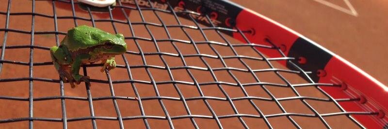 TENNISJESSEN's profile banner image