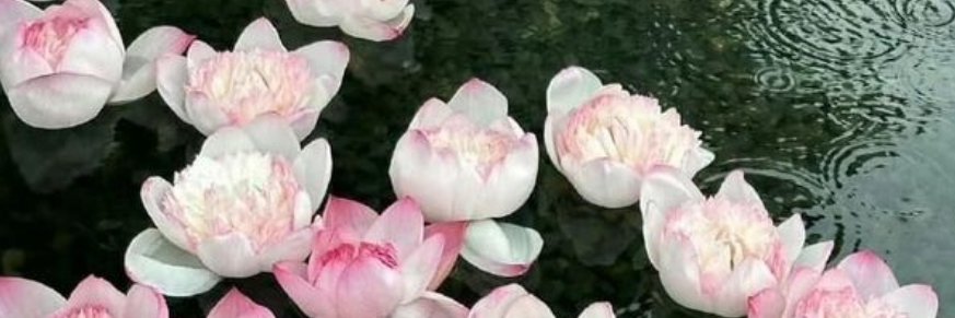khmalky97's profile banner image