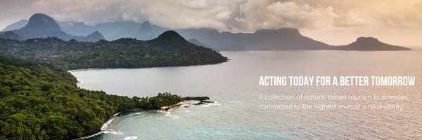 thelongrunorg Profile Banner