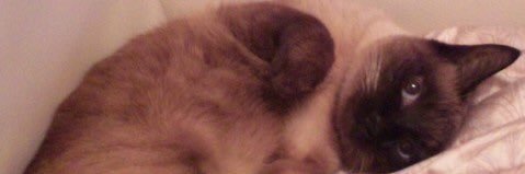 Hi_Resolution_R's profile banner image