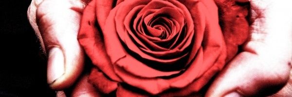 🫶Open Hearts_Godly Love ALWAYS shines Golden🫶's banner