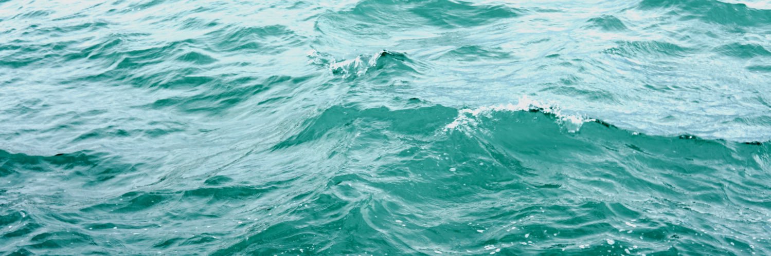 WavingManatee's profile banner image