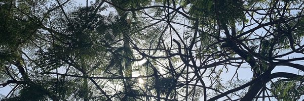 saalansari Profile Banner