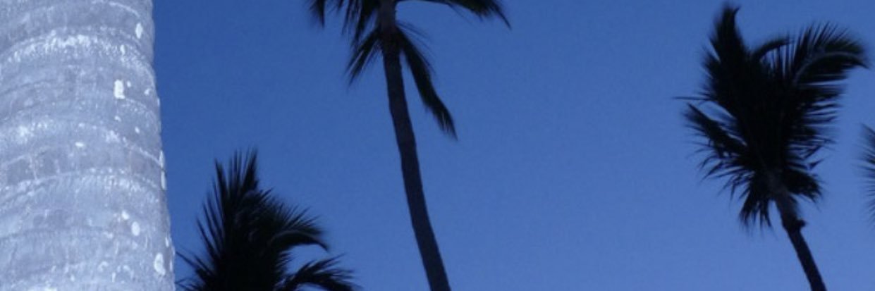 _naas9's profile banner image