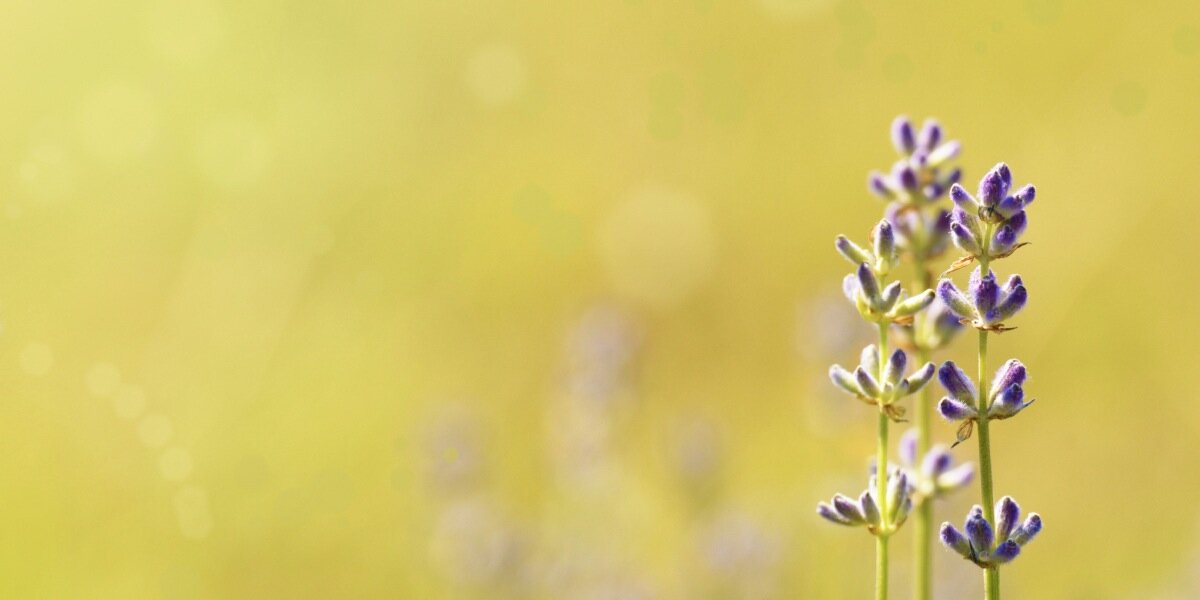 PursuitPositive's profile banner image