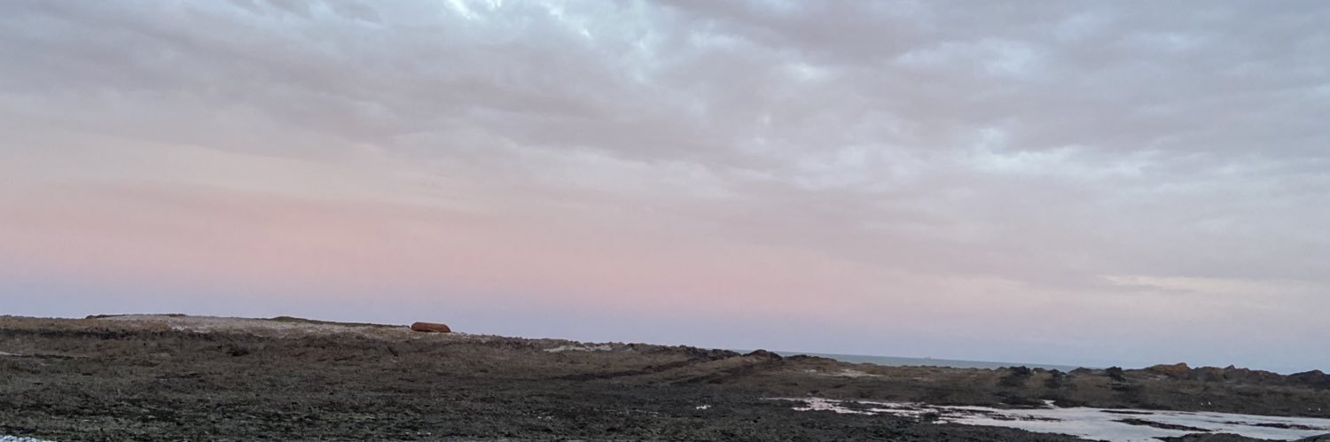 amberhallambert's profile banner image