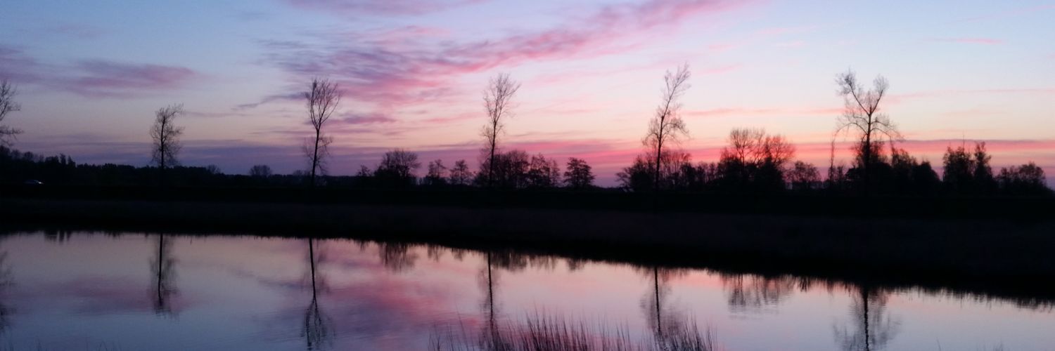 MurderousMermai's profile banner image