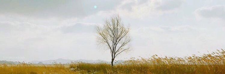 reverie banner