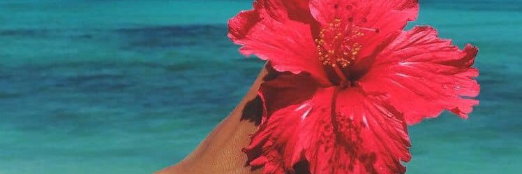lo_roxy's profile banner image