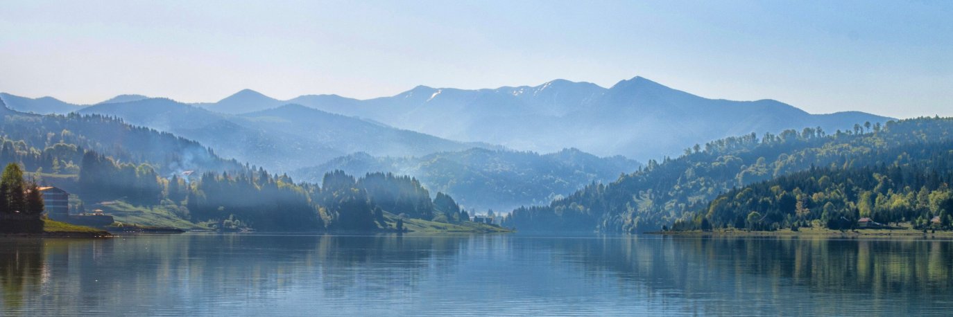 Michael Deane banner