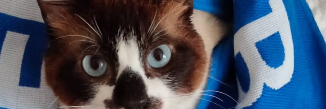 María 🏳️‍🌈 banner