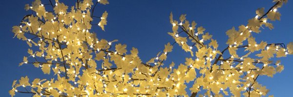 BrianyElise Profile Banner