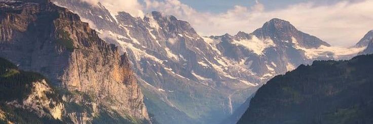 vionancee's profile banner image