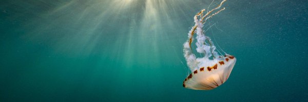 mcsuk Profile Banner