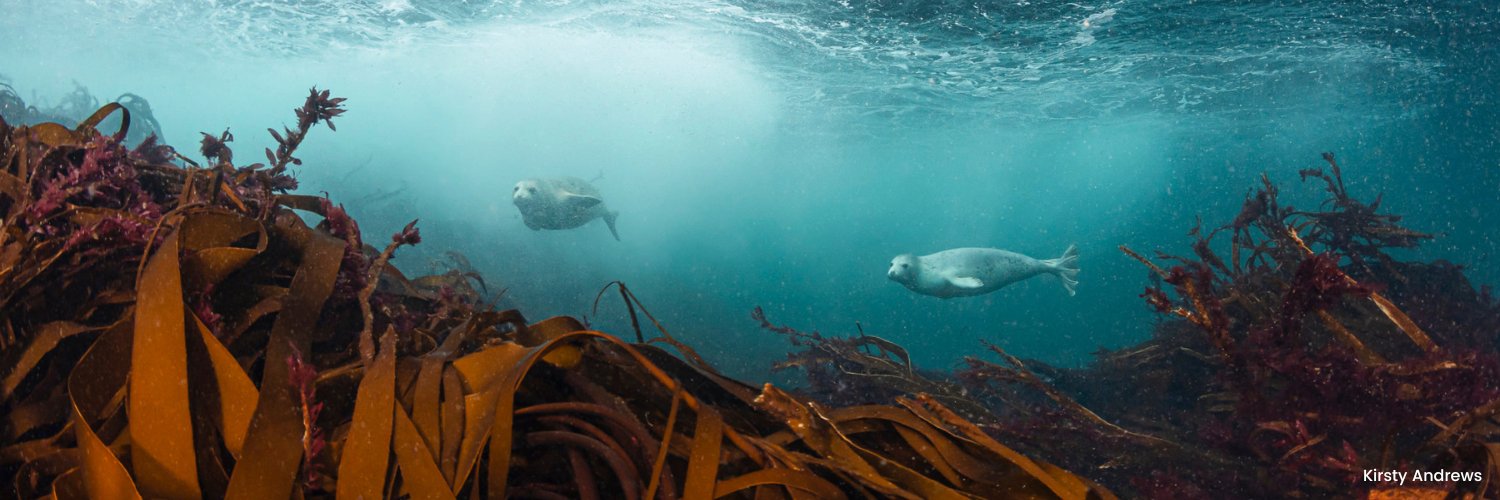 Marine Conservation Society banner