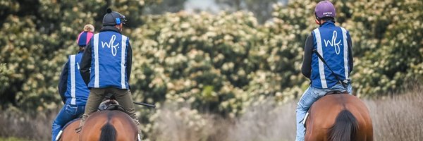 willfreedman Profile Banner