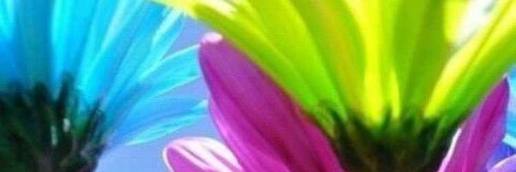 cawsss's profile banner image