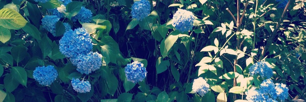 mysty_non's profile banner image