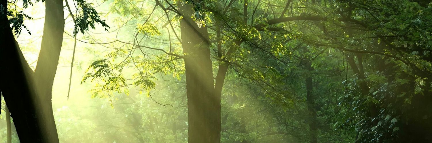 [60] 애스터 그레이 banner