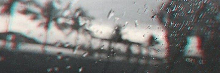 lauroseibert's profile banner image
