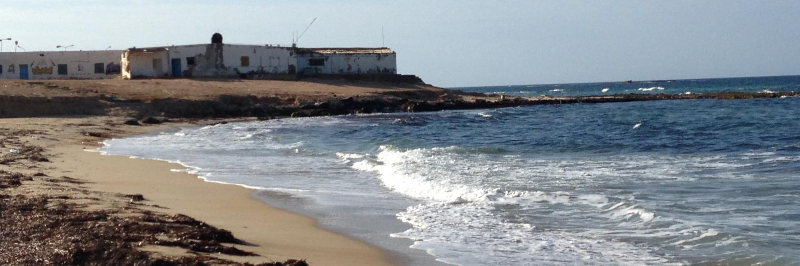 Virginie Collombier banner