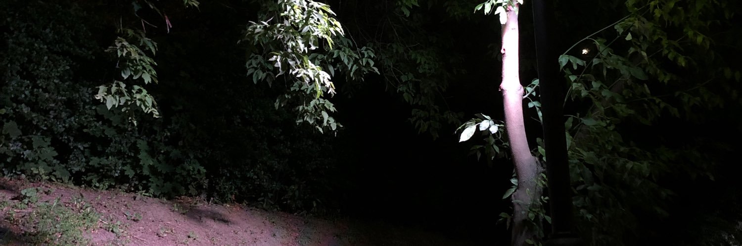 ꪜ꠸ᥴᛕꪗ ꪜꫀ᥅ᛕꪗ's banner