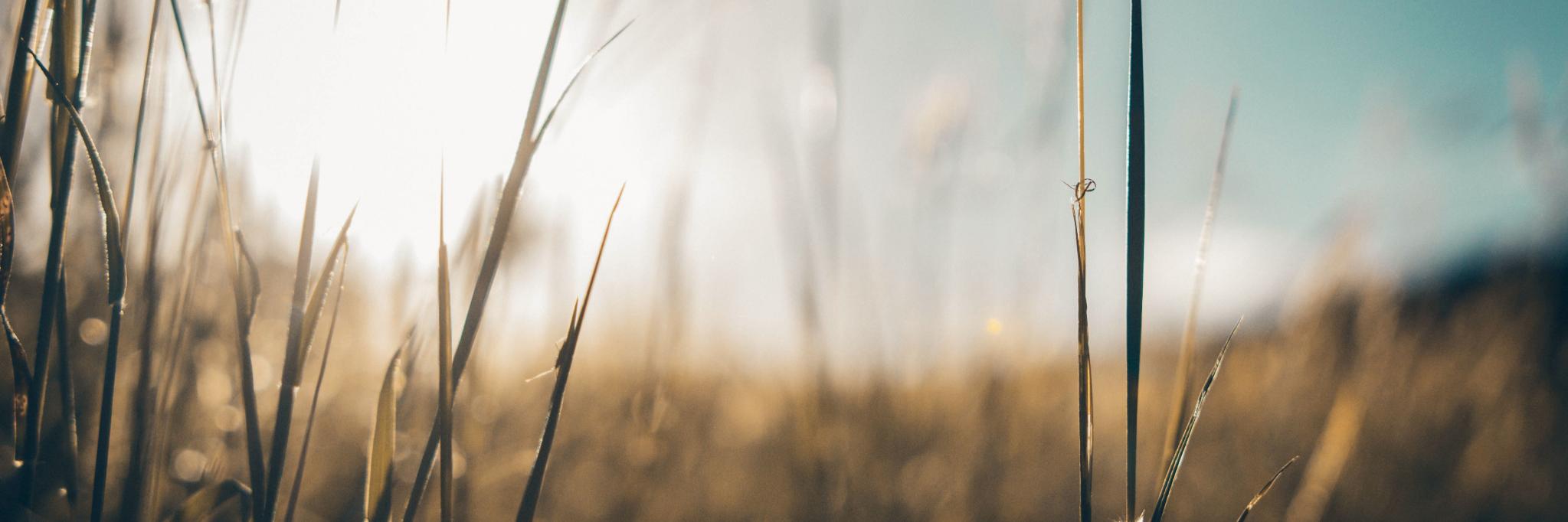 Natural Fit banner