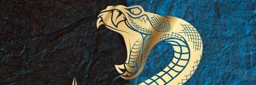 ⭐️SteFrizz⭐️ banner