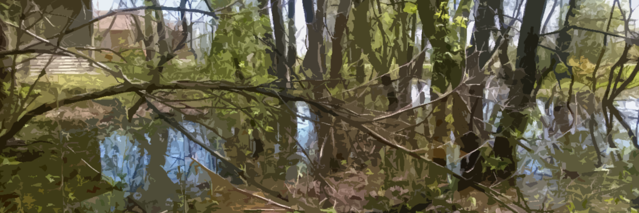 CCVectorControl's profile banner image