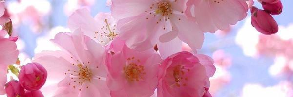 Dailucero03's profile banner image