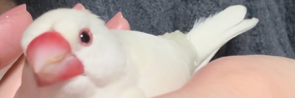ONE_H_1111's profile banner image