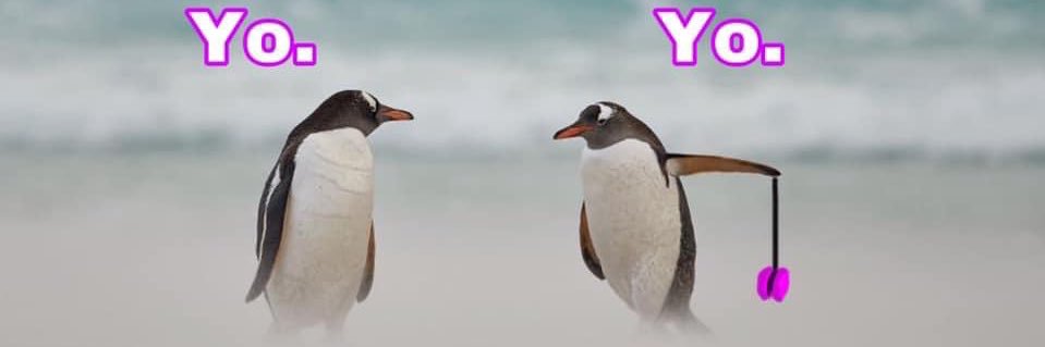 Grospieds du Pianiste banner