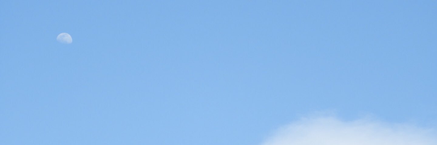 pipinoco's profile banner image