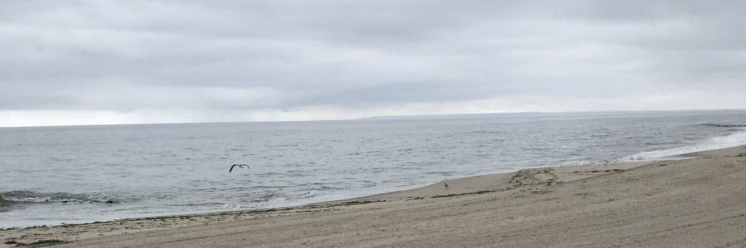 mattsimon2's profile banner image