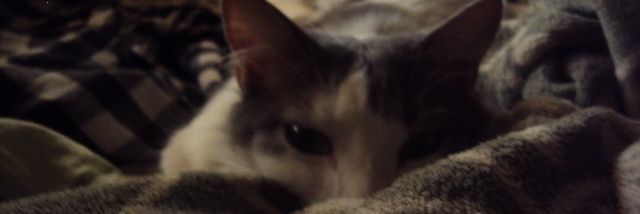 applezcore's profile banner image