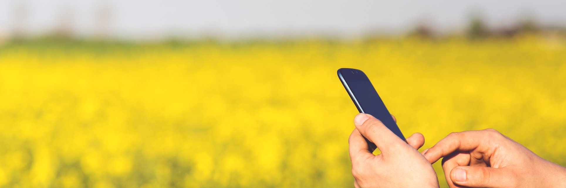 IRE Research @ Falmouth banner